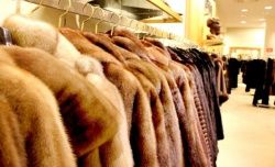 Подписан ФЗ о маркировке одежды из натурального меха