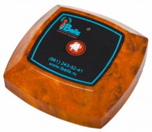 Кнопка iBells-302